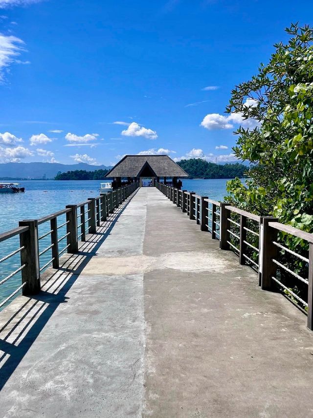 一定要來！亞庇加雅島1200／3天