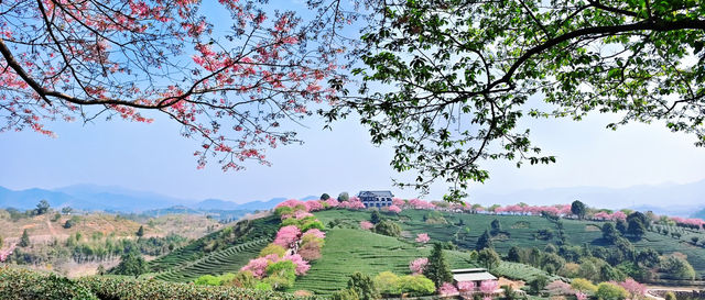 龍岩超全旅遊攻略，看完就出發！