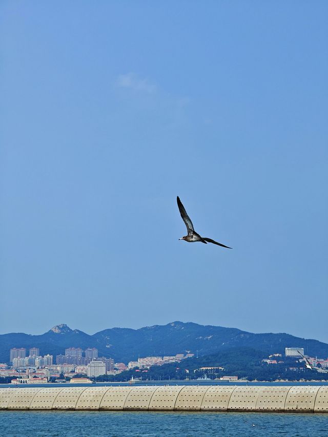 中國山東淄博-青島-威海4日遊 玩轉山東半島