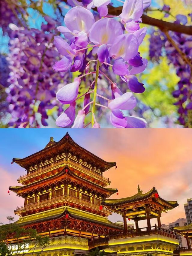 3月的西昌，真的贏麻了。