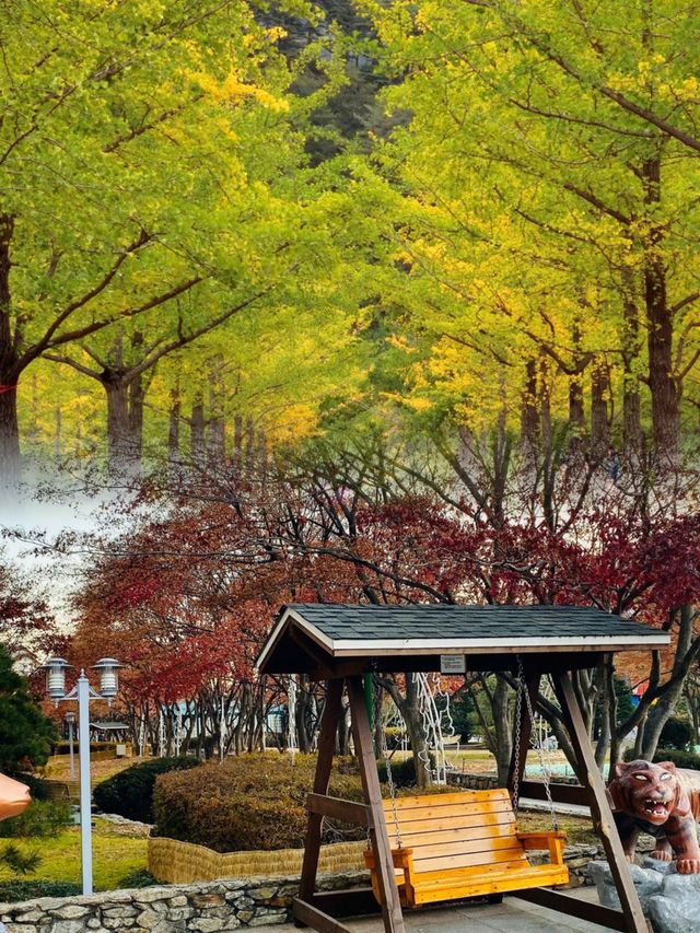來韓國洪川郡感受獨特魅力