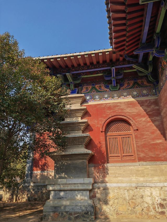 洞林寺