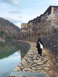 京都水岸畫卷！宇治公園×宇治川の治癒系漫步攻略🌊，美到不想走！