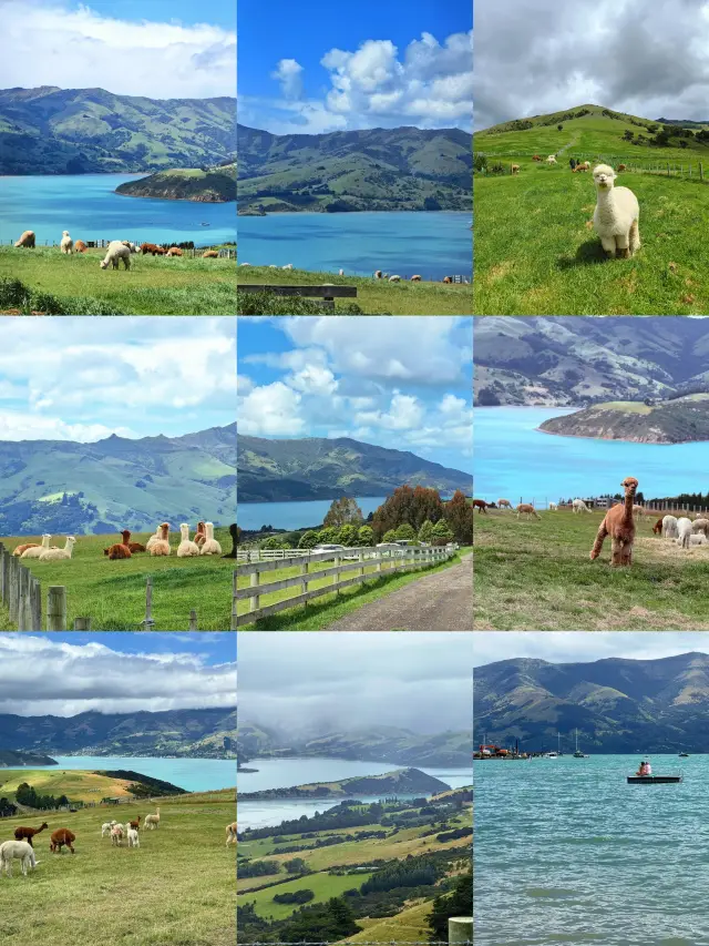 Hidden gem travel destination～