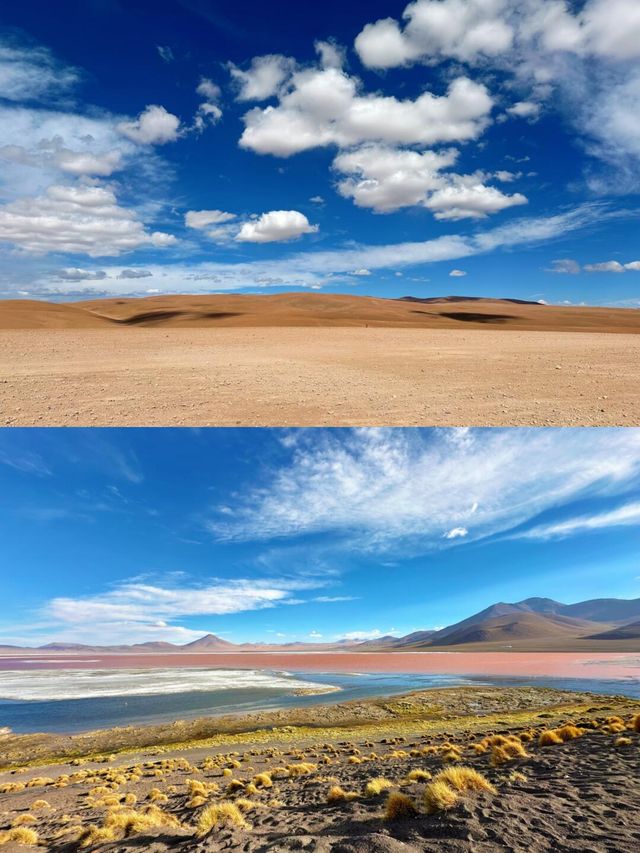 探索烏尤尼，邂逅大地奇觀