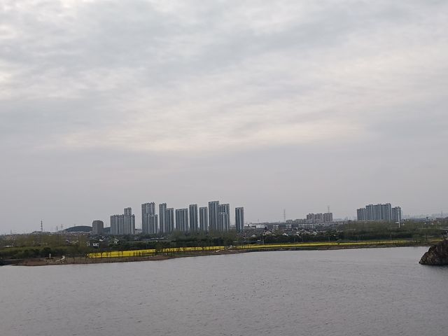 袁花梨花紀：野鴨戲水春意濃