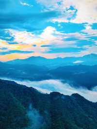 合肥周邊賞杜鵑·我在原始森林發現了秘境
