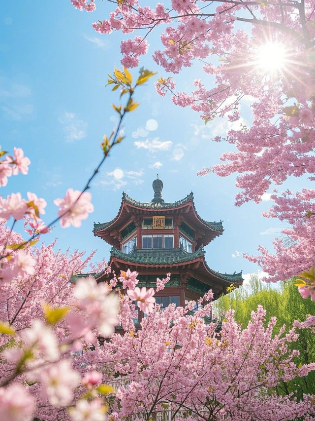 奈良櫻花四日遊：古都賞櫻全攻略