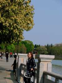 🌸全家一起去踏春｜廣州海珠湖🍀