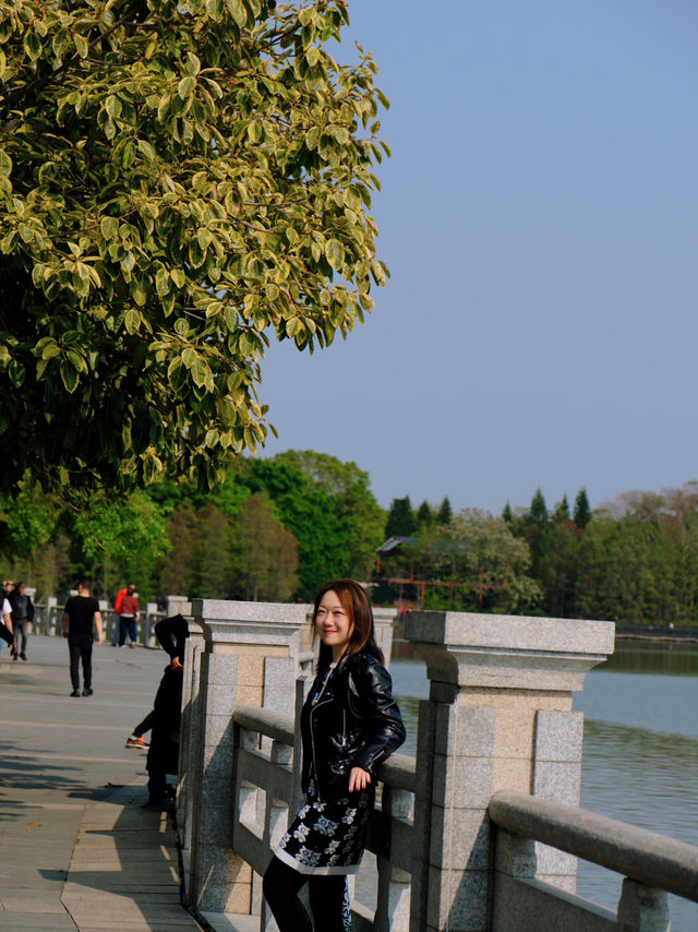 🌸全家一起去踏春｜廣州海珠湖🍀