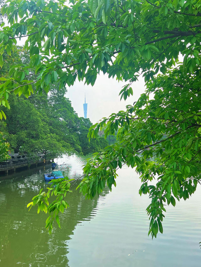 東山湖公園嘅中式美學