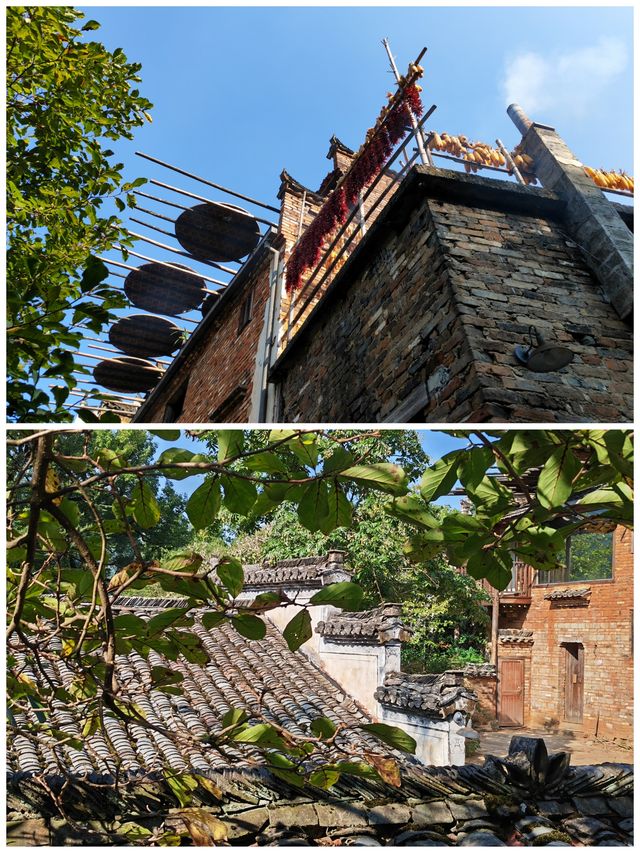 贛東北探秋丨婺源篁嶺景區c