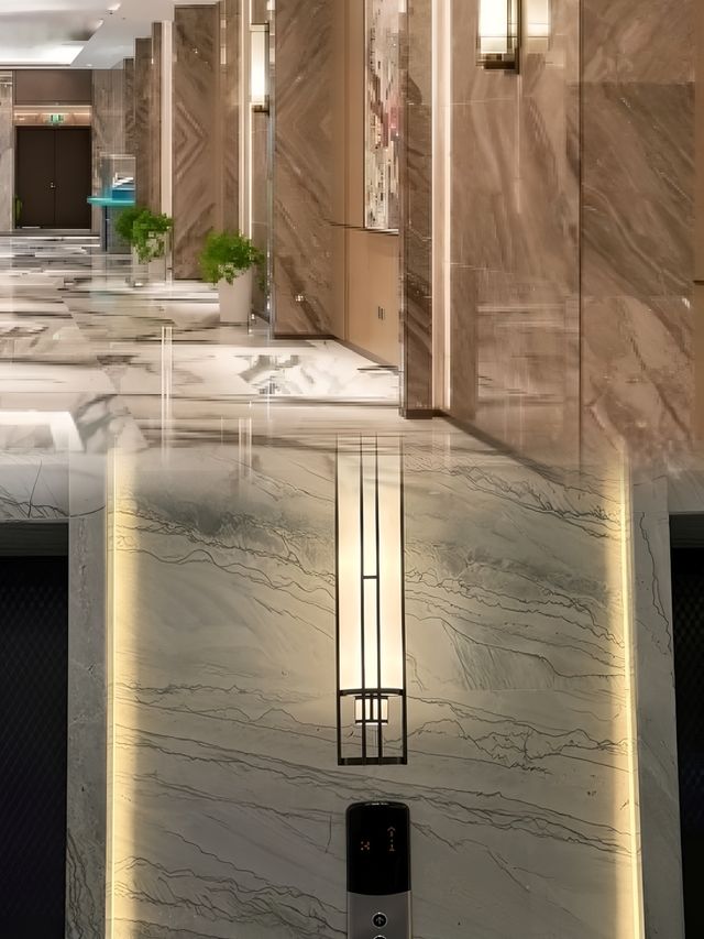 寬敞明亮--遂昌湯公雷迪森廣場酒店