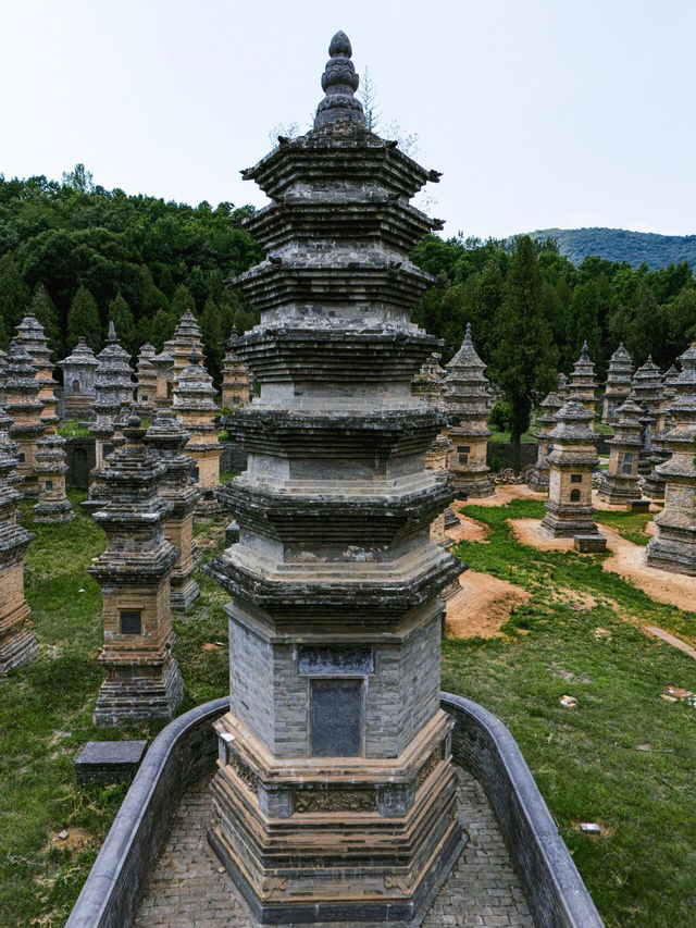《在鄭州塔林，感悟佛教文化的深邃內涵》