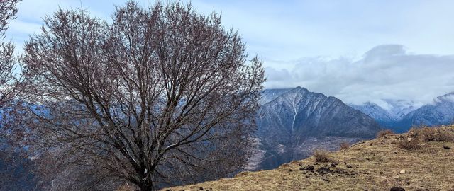 金川自駕遊，邂逅雪域梨鄉之美