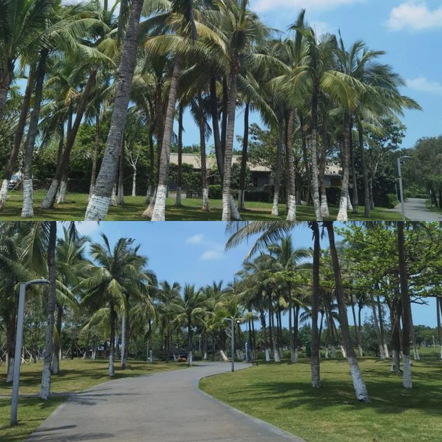 海口第一次來，順序別搞錯！