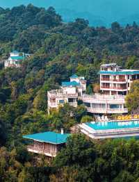 住進蘭花仙境！解鎖森林裡的治癒系旅行
