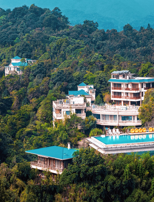 住進蘭花仙境！解鎖森林裡的治癒系旅行