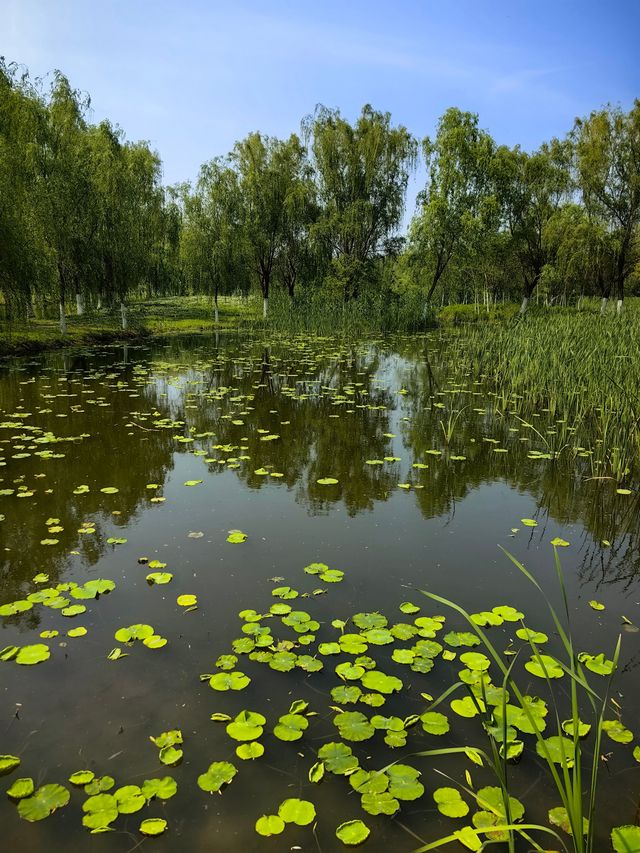 環遊巢湖