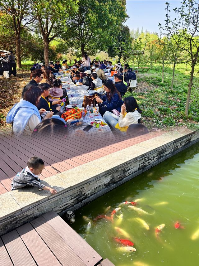 周末去哪兒|揚州網紅打卡遊船竹林行