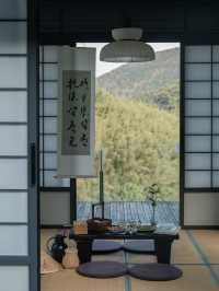 春山來信|在莫干山的茶田裡打撈一首詩