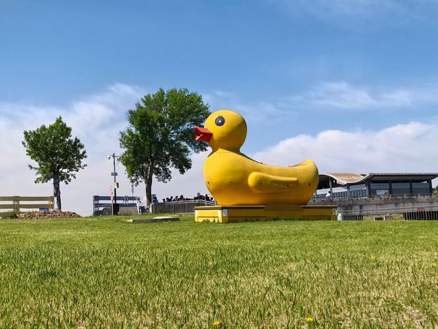 藍天碧水——奧林匹克水上公園