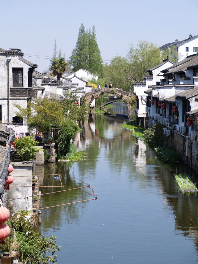 蘇州太倉2日遊 | 村遊古鎮免費逛吃拍