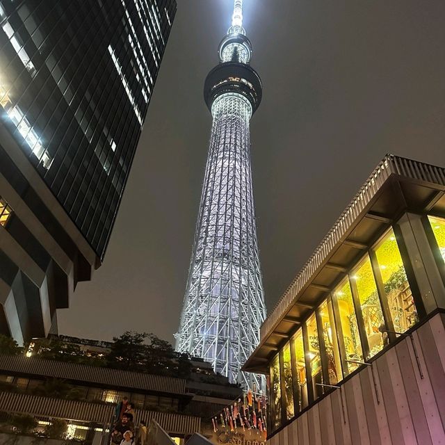  🇯🇵關東漫遊筆記｜漫步東京，邂逅古今交織的浪漫✨