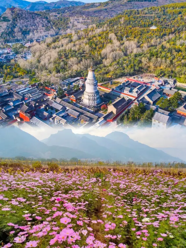 Xinzhou Travel Guide: Admire the Sea of Clouds Under Mount Wutai and Recall the Past at Yanmen Pass