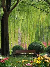 千年曲江池遺址公園遊玩攻略，盛世長安遊