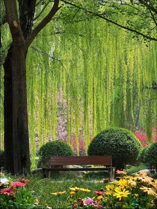 千年曲江池遺址公園遊玩攻略，盛世長安遊