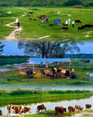 Drive straight from Changsha to this grassland river, the "Little Hulunbuir" of Changsha