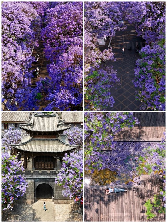 古風×藍紫｜富民上河院暴擊指南