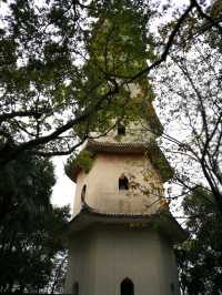 尋味山海間，解鎖溫州的隱秘浪漫