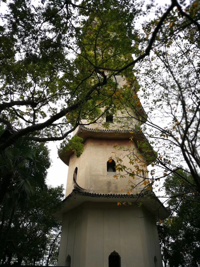 尋味山海間，解鎖溫州的隱秘浪漫