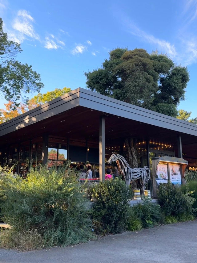 大阪秋日限定 | 南千里公園的美味邂逅🥧