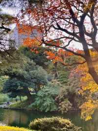 東京小石川後樂園交通攻略：輕鬆抵達江戶風情的日式庭園  