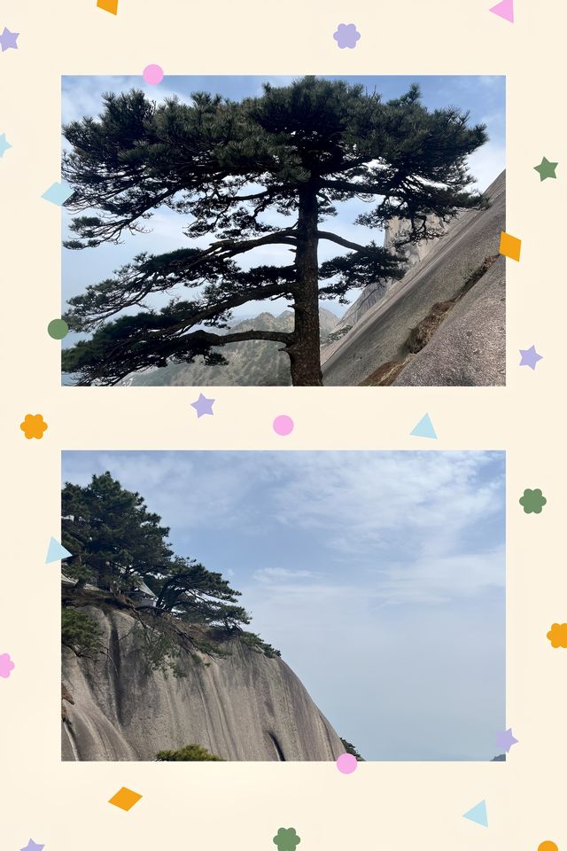 福建天柱山旅遊攻略 福建天柱山旅遊攻略