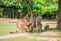動物園一日遊親子情侶可打卡