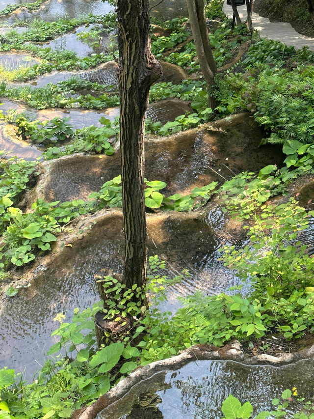 洛陽旅遊｜重渡溝～避暑好地方，值得！