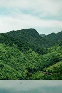 江浙滬2小時直達！闖入23℃嘅綠野仙蹤玩水