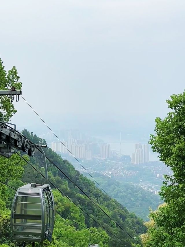 重慶沙坪壩8大必打卡秘笈