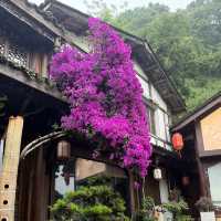 Dujiangyan | Where to take pretty photos even in horrible weather 