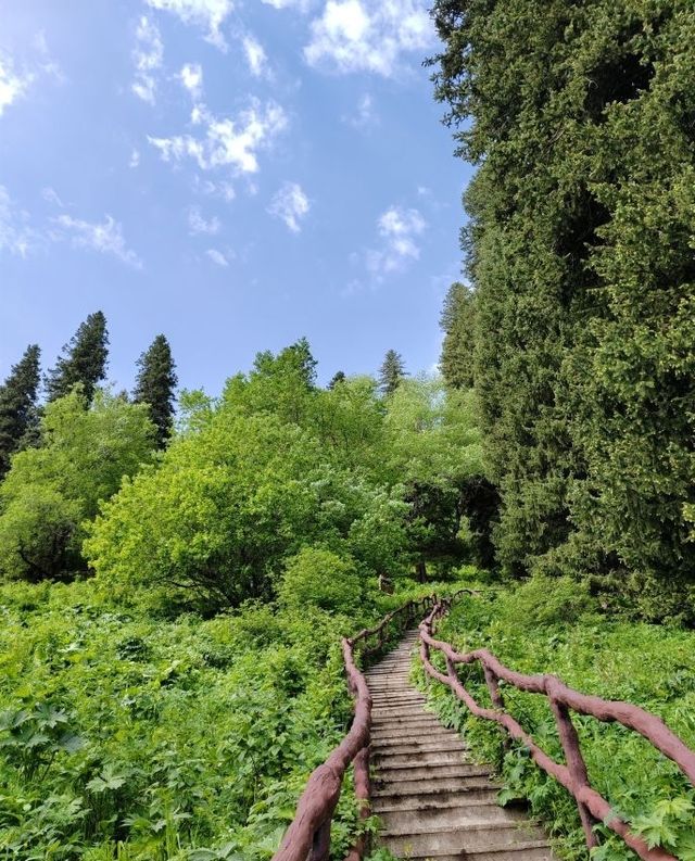 人生建議：帶小朋友去新疆，一定要7-8月去！