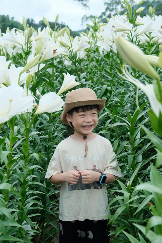 福州限定浪漫！呢片高過人嘅百合花海藏唔住啦～