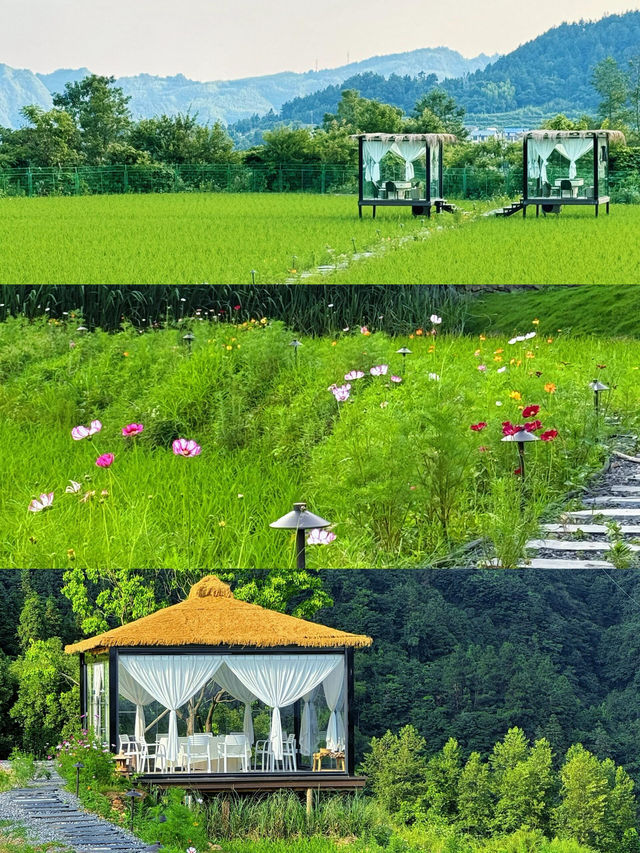 長沙周邊｜躲進山野治癒咗我嘅城市焦慮