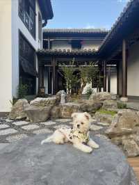 和合園古風民宿｜隱於田園嘅詩意棲居