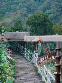 峨眉聖境｜3077米金頂與佛光同修嘅渡劫指南 （踏九十九道天梯，避三千猴匪，奪萬丈霞光） 開卷禪