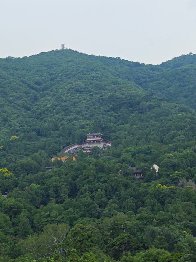 靜宜園裡四處轉轉之探訪青末了——