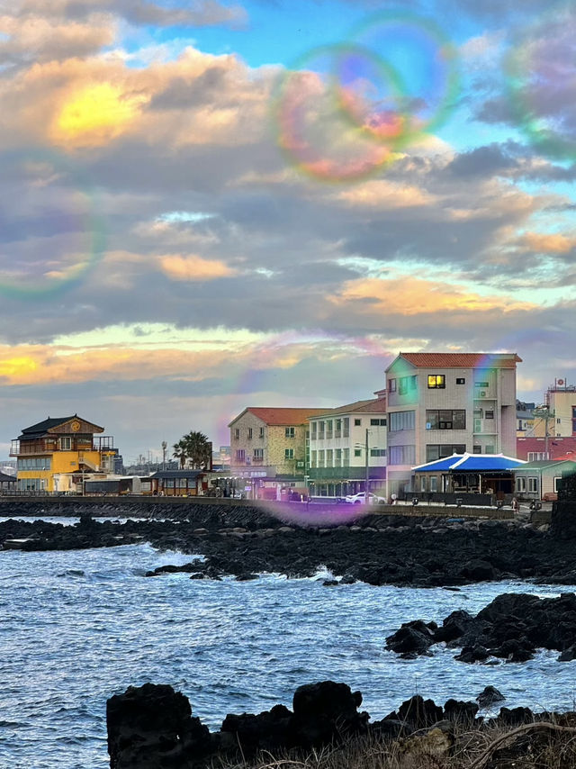 🍊 Jeju Escape: Volcanic Vibes & Citrus Dreams!